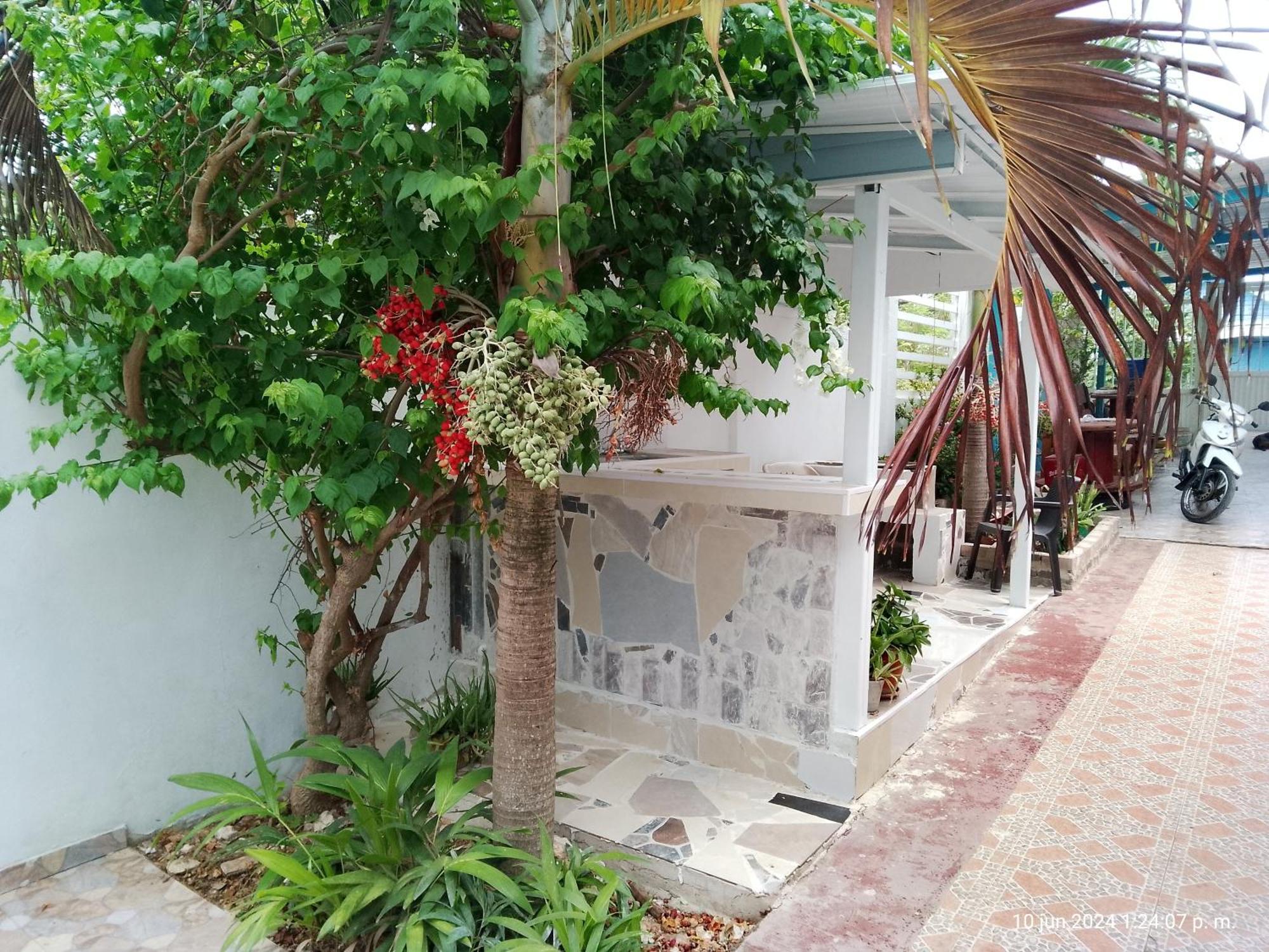 Honey Hill View Apartment San Andres  Bagian luar foto